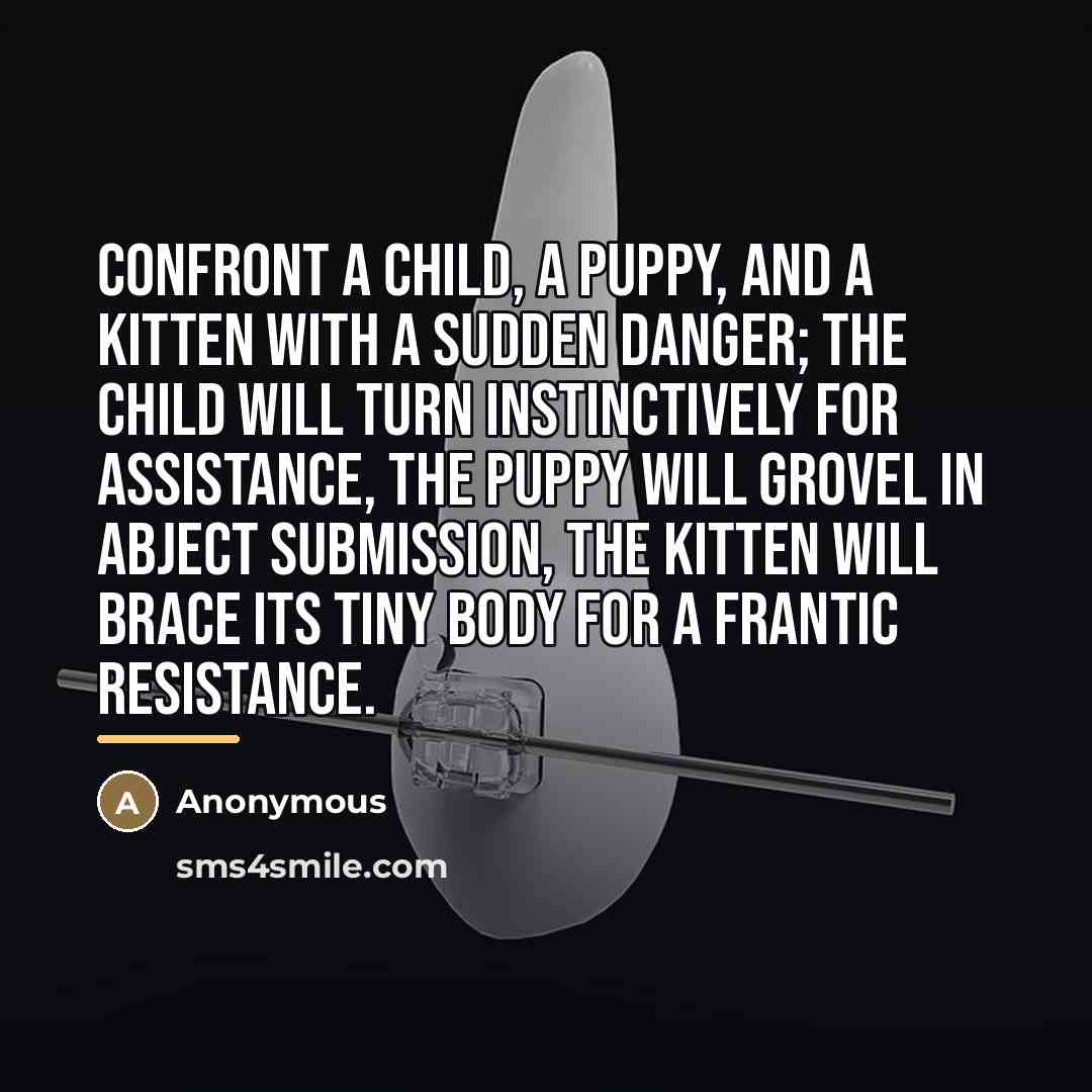 “Confront a child, a puppy, and a kitten with a…” quote by Anonymous