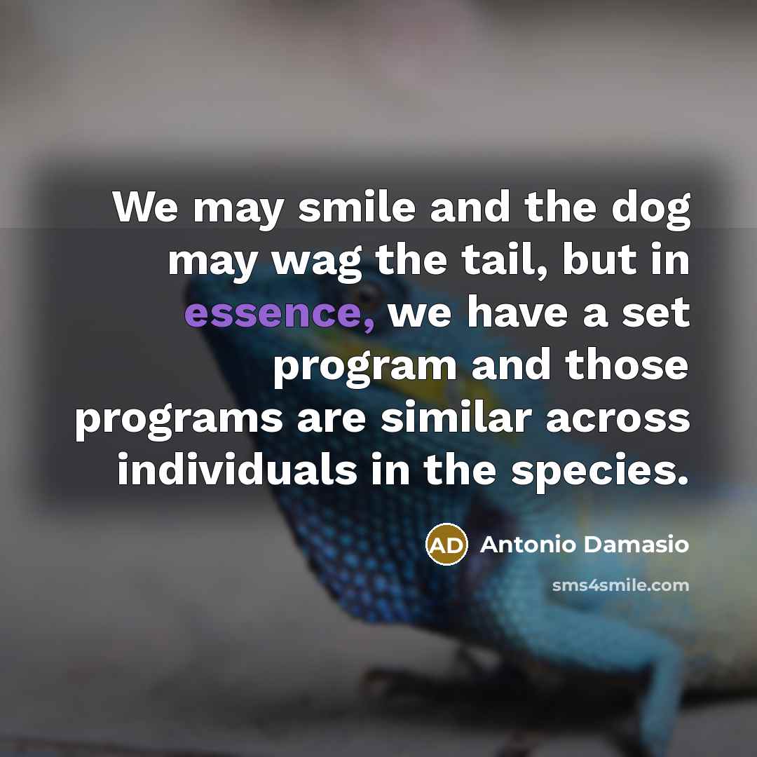 “We may smile and the dog may wag the tail, but in essence, we have a set program and those programs are similar across individuals in the species.” quote by Antonio Damasio