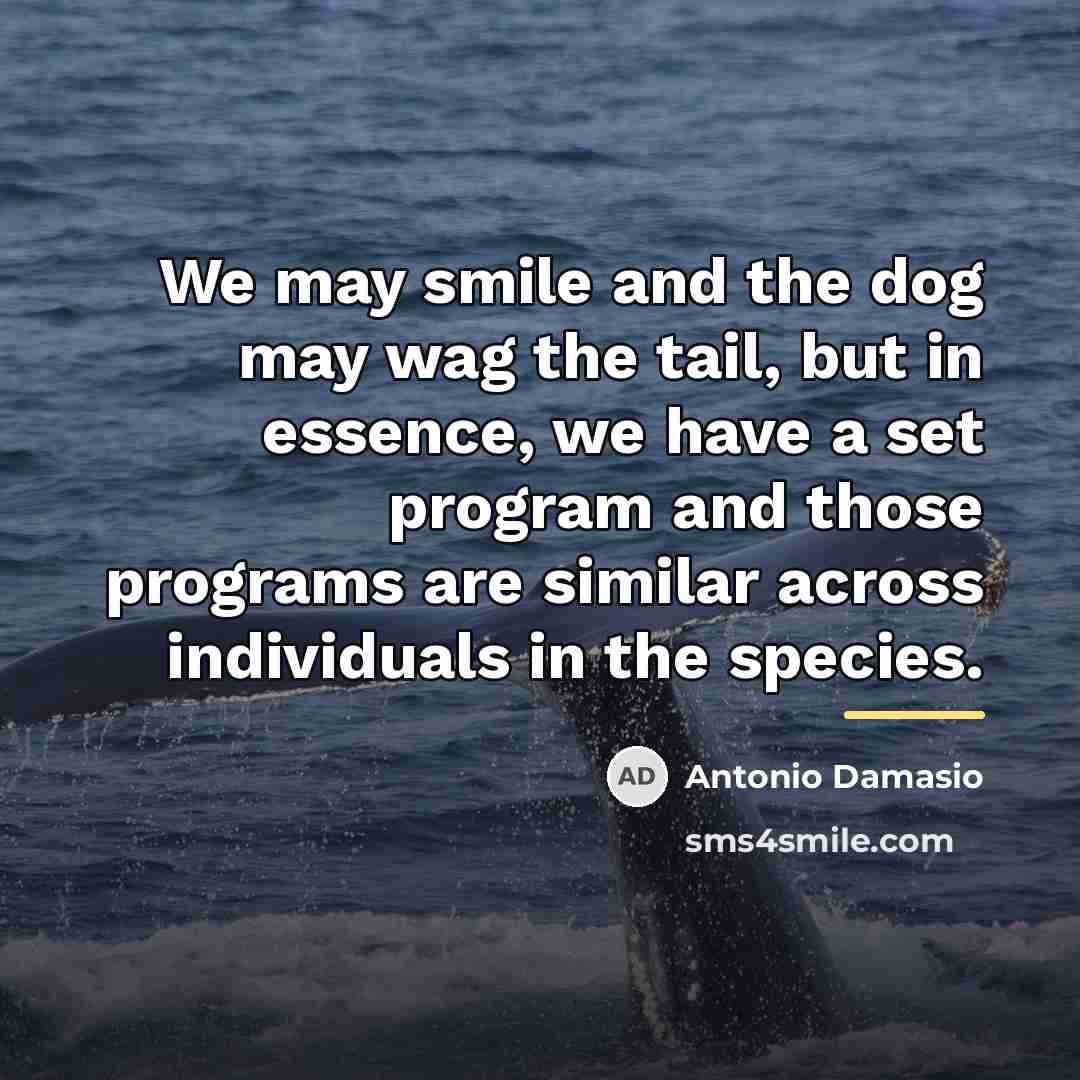 “We may smile and the dog may wag the tail,…” quote by Antonio Damasio