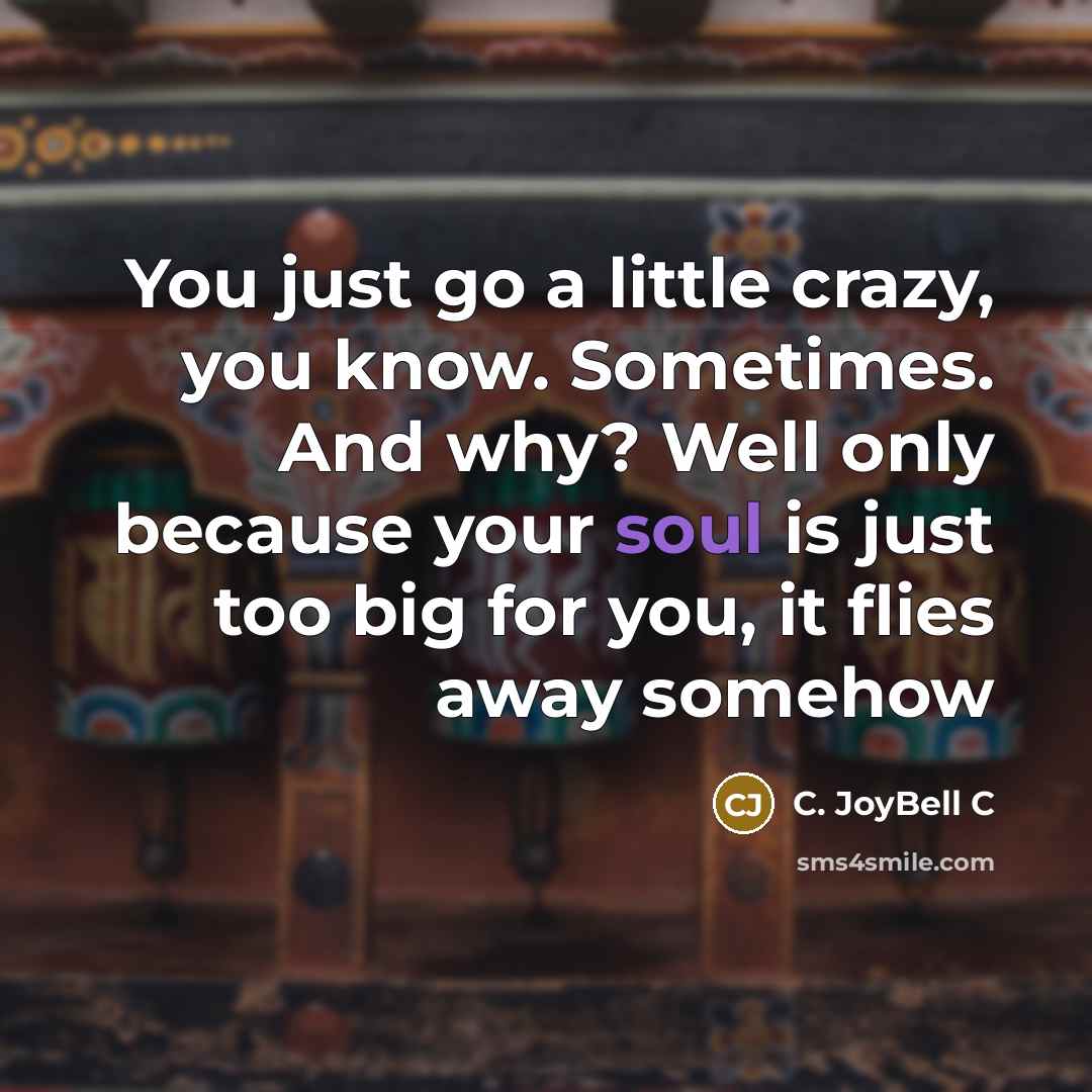 “You just go a little crazy, you know. Sometimes. And…” quote by C. JoyBell C