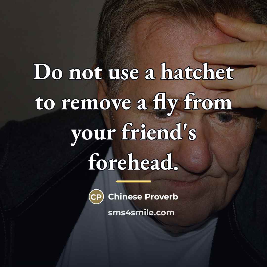 “Do not use a hatchet to remove a fly from…” quote by Chinese Proverb