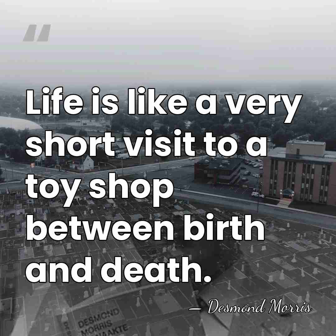 Life is like a very short visit to a toy shop between&hellip; - Desmond Morris