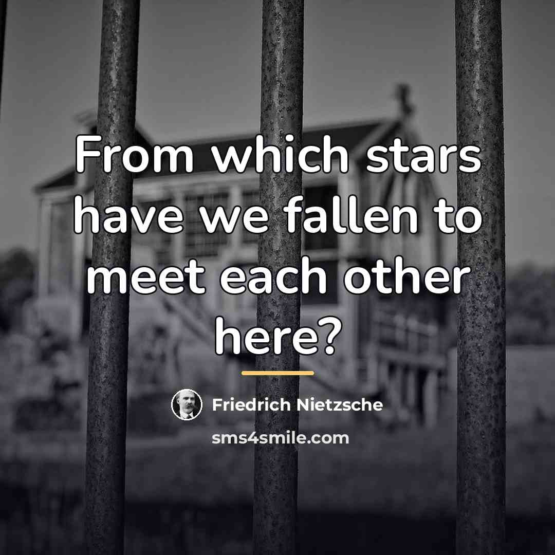 “From which stars have we fallen to meet each other…” quote by Friedrich Nietzsche