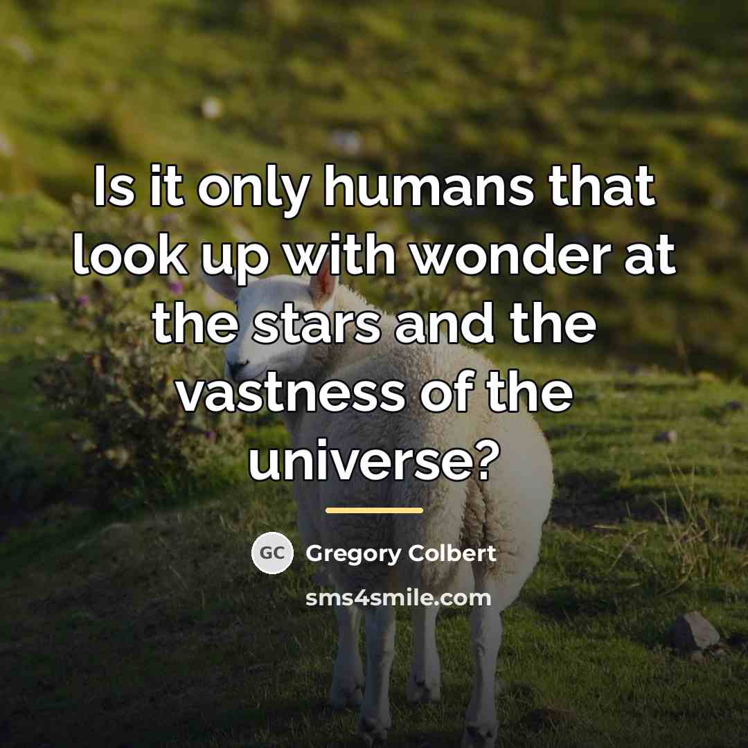 “Is it only humans that look up with wonder at…” quote by Gregory Colbert