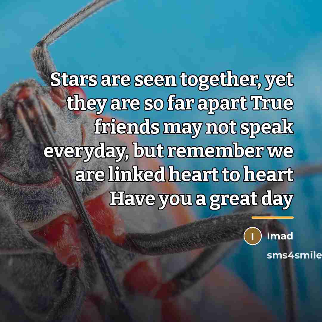 “Stars are seen together, yet they are so far apart…” quote by Imad