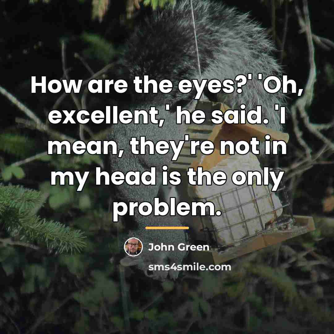 “How are the eyes?' 'Oh, excellent,' he said. 'I mean,…” quote by John Green