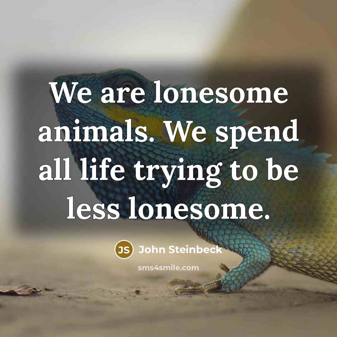 “We are lonesome animals. We spend all life trying to…” quote by John Steinbeck