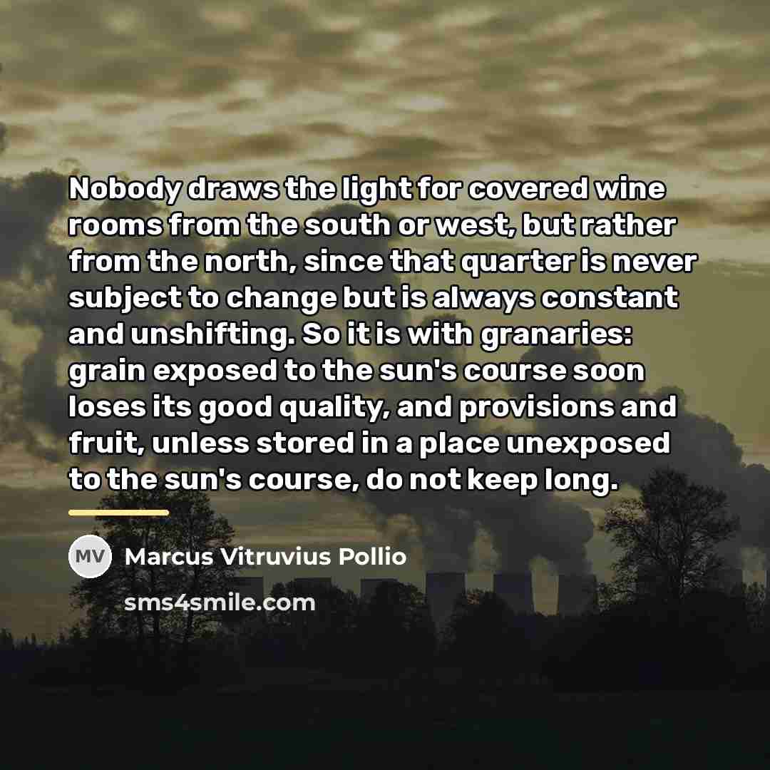 “Nobody draws the light for covered wine rooms from the…” quote by Marcus Vitruvius Pollio