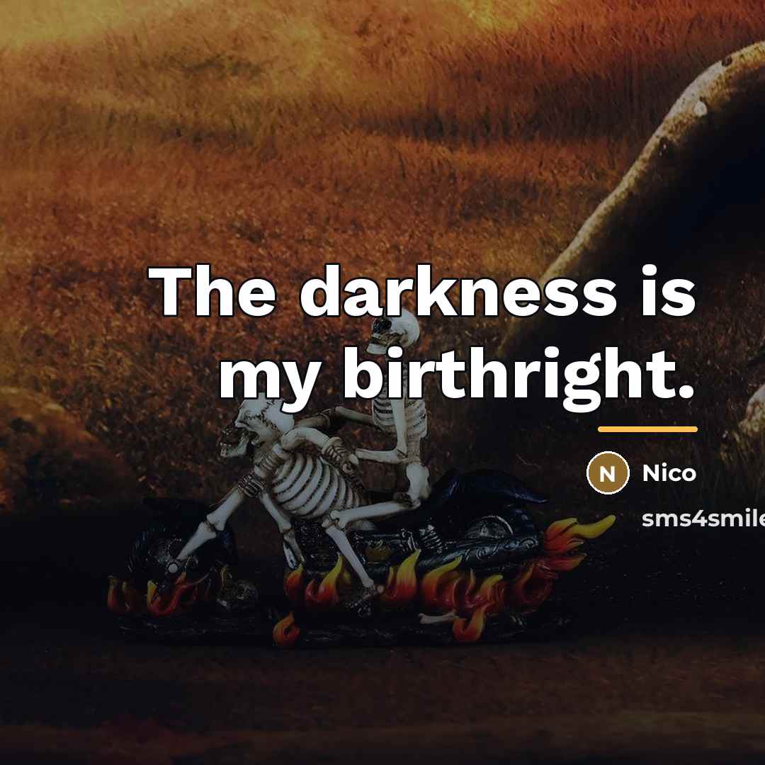 “The darkness is my birthright.…” quote by Nico