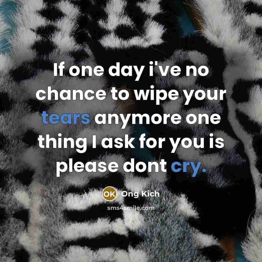 “If one day i've no chance to wipe your tears…” quote by Ong Kich