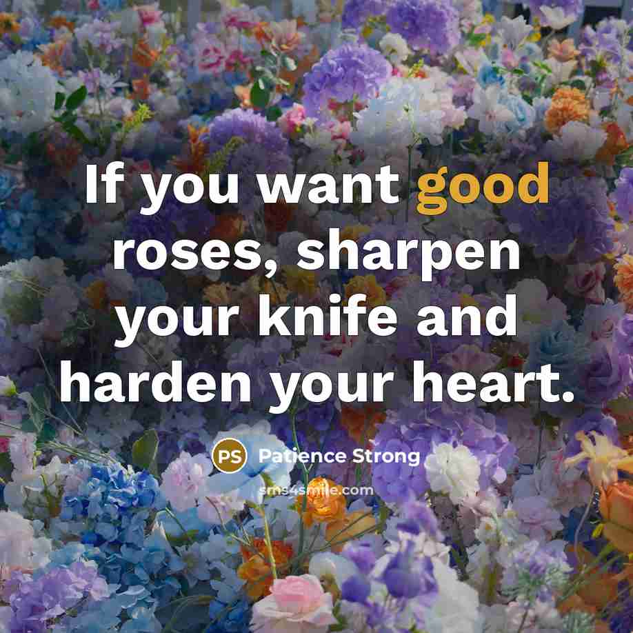 “If you want good roses, sharpen your knife and harden…” quote by Patience Strong