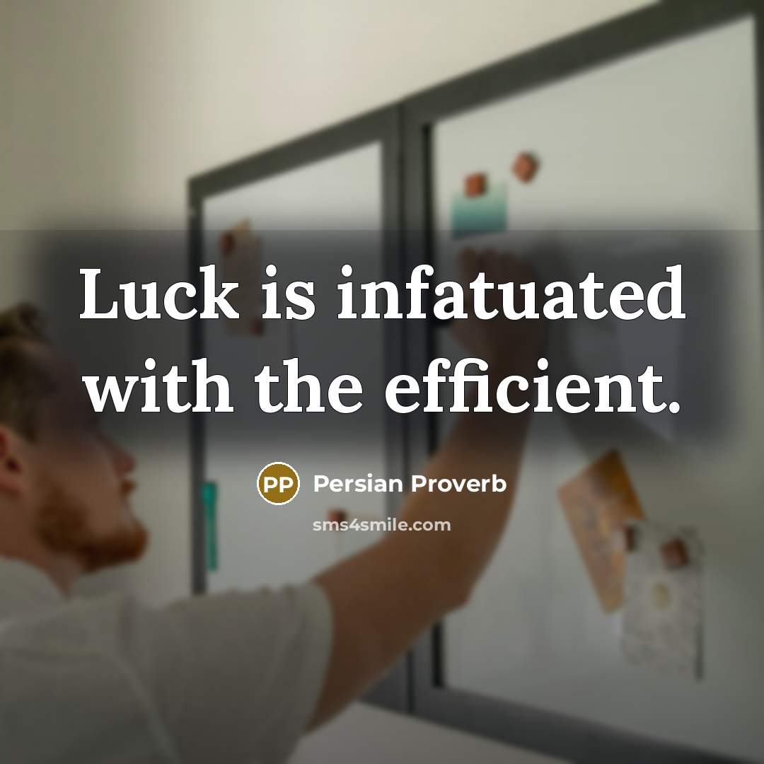 “Luck is infatuated with the efficient.” quote by Persian Proverb