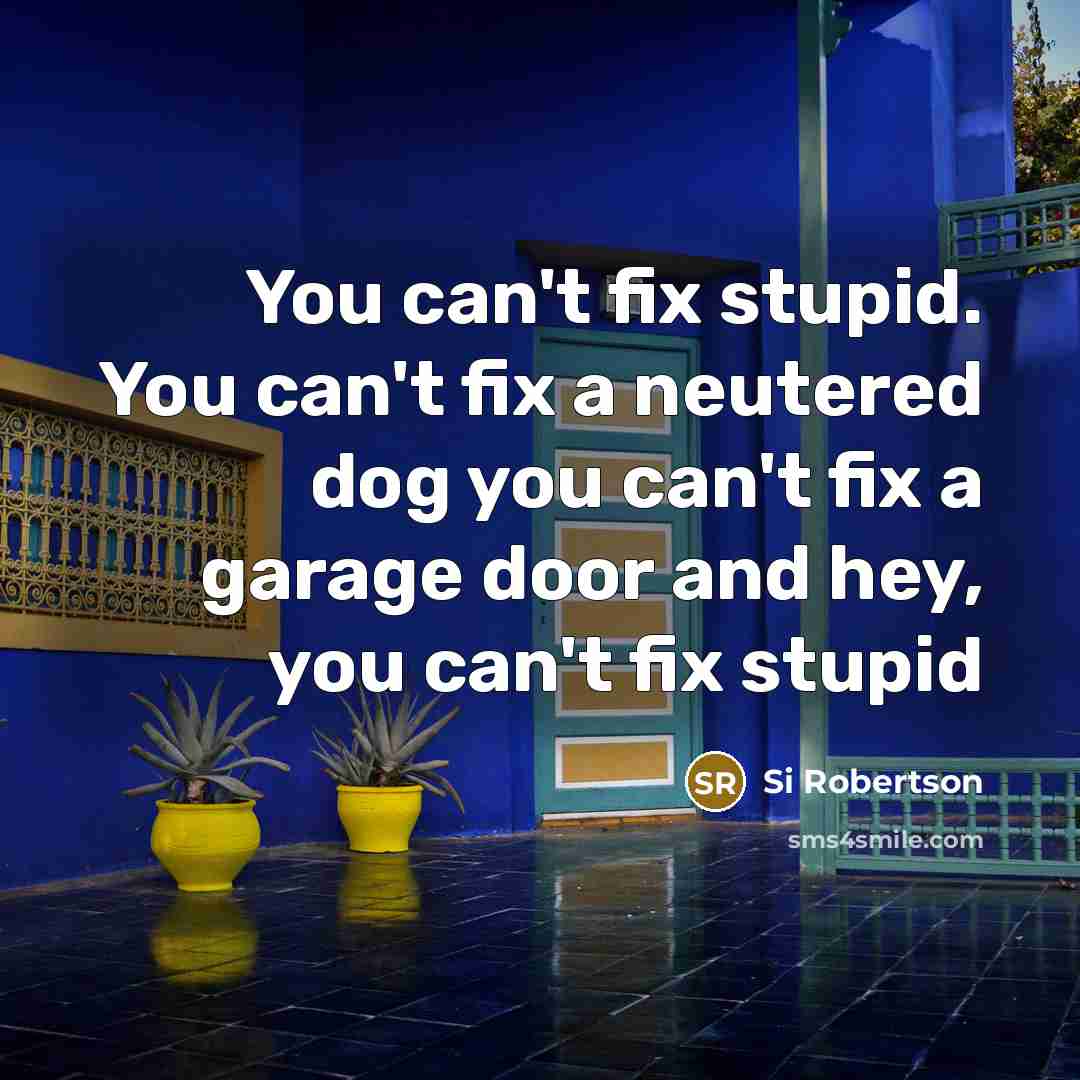 “You can't fix stupid. You can't fix a neutered dog…” quote by Si Robertson