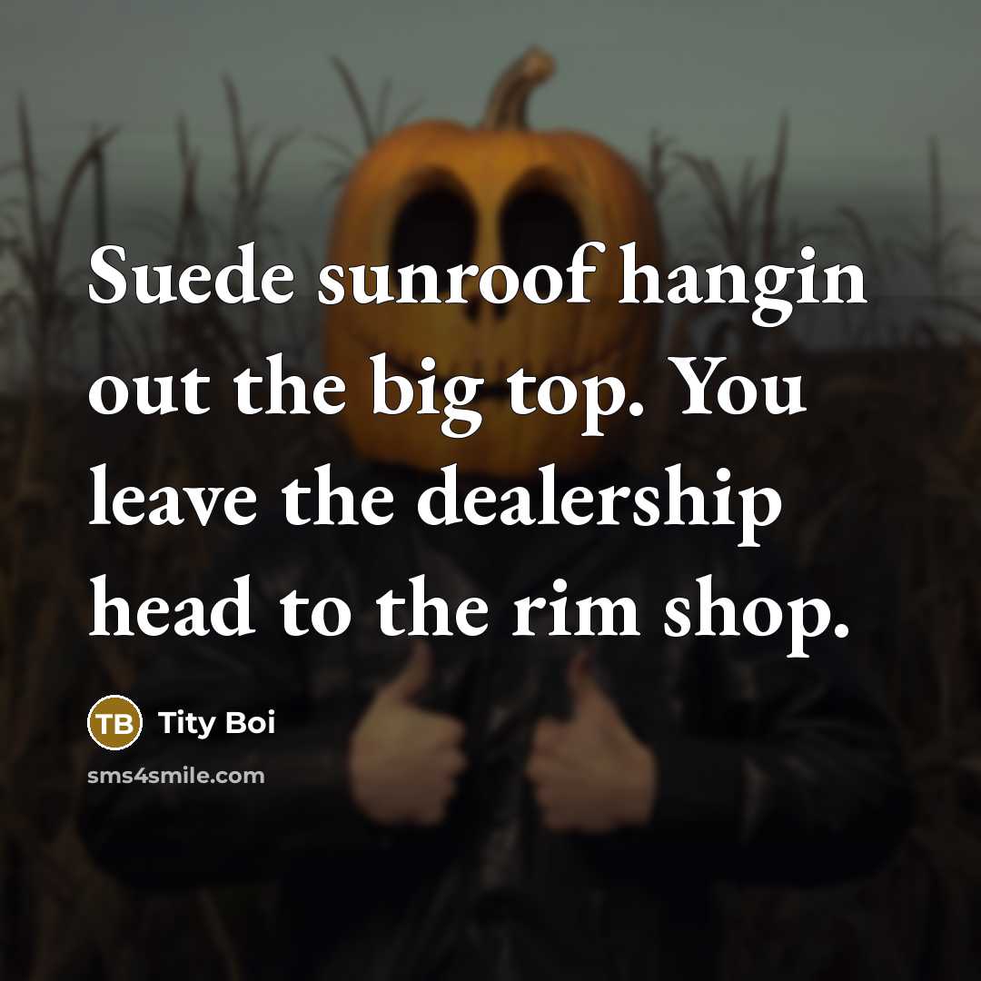 “Suede sunroof hangin out the big top. You leave the dealership head to the rim shop.” quote by Tity Boi