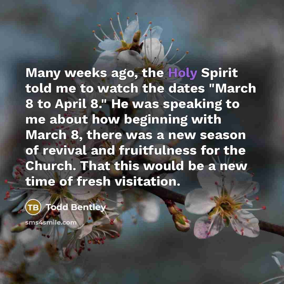 “Many weeks ago, the Holy Spirit told me to watch…” quote by Todd Bentley