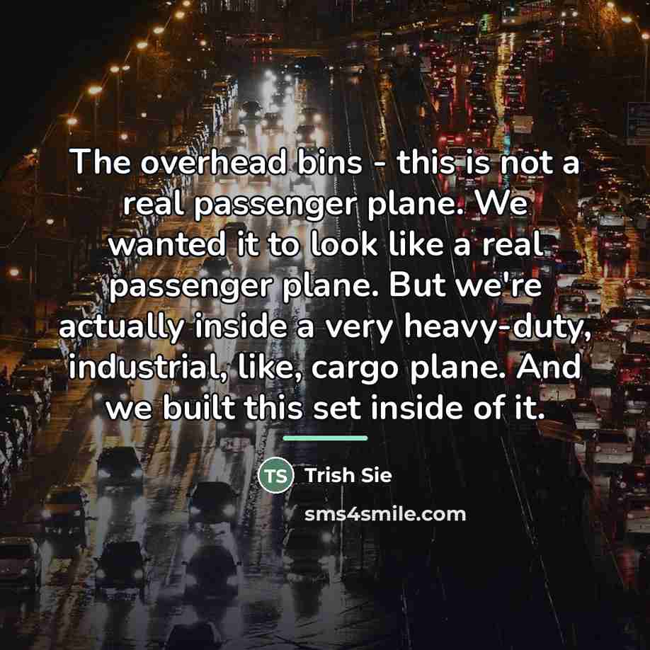 “The overhead bins - this is not a real passenger…” quote by Trish Sie