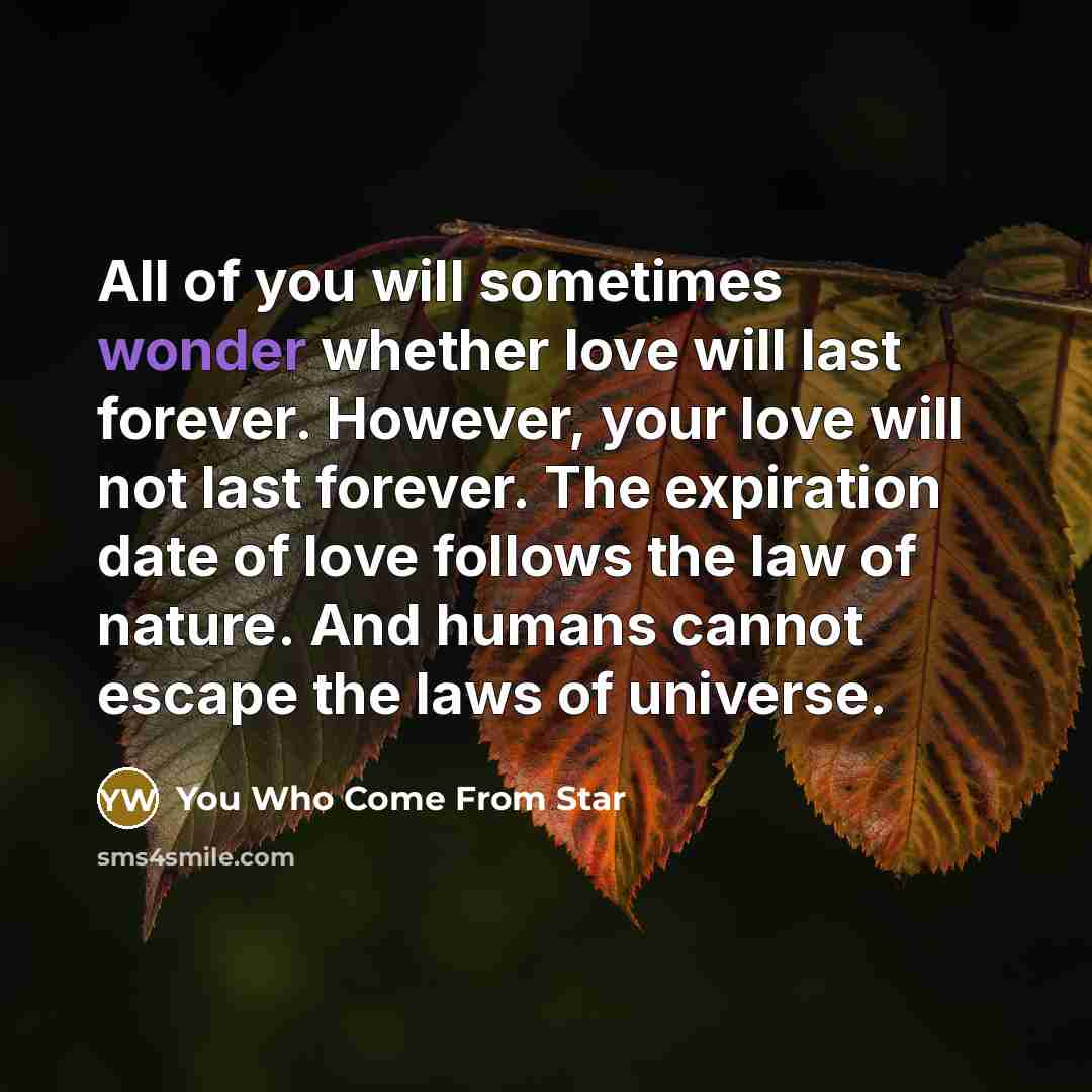 “All of you will sometimes wonder whether love will last…” quote by You Who Come From Star