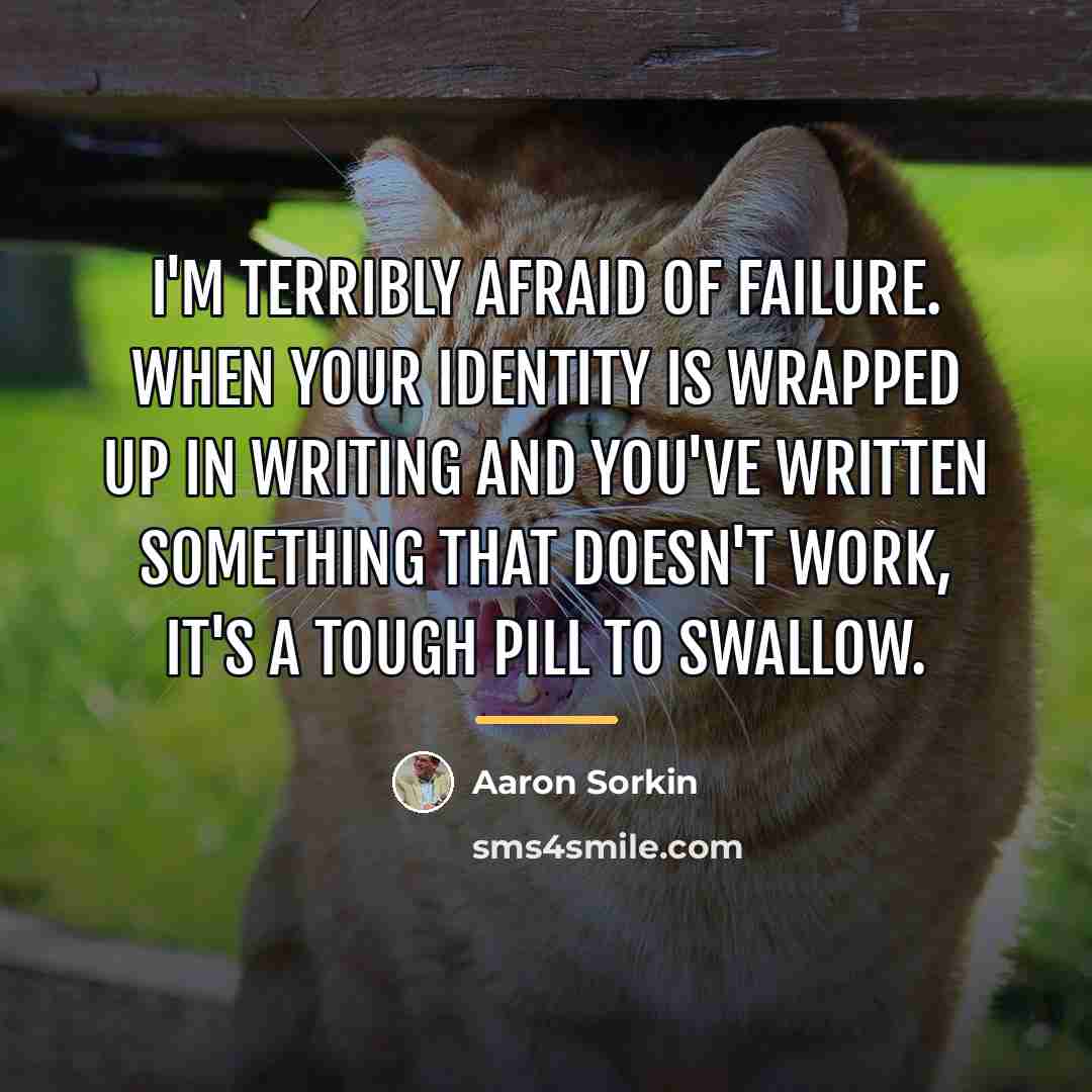 “I'm terribly afraid of failure. When your identity is wrapped…” quote by Aaron Sorkin