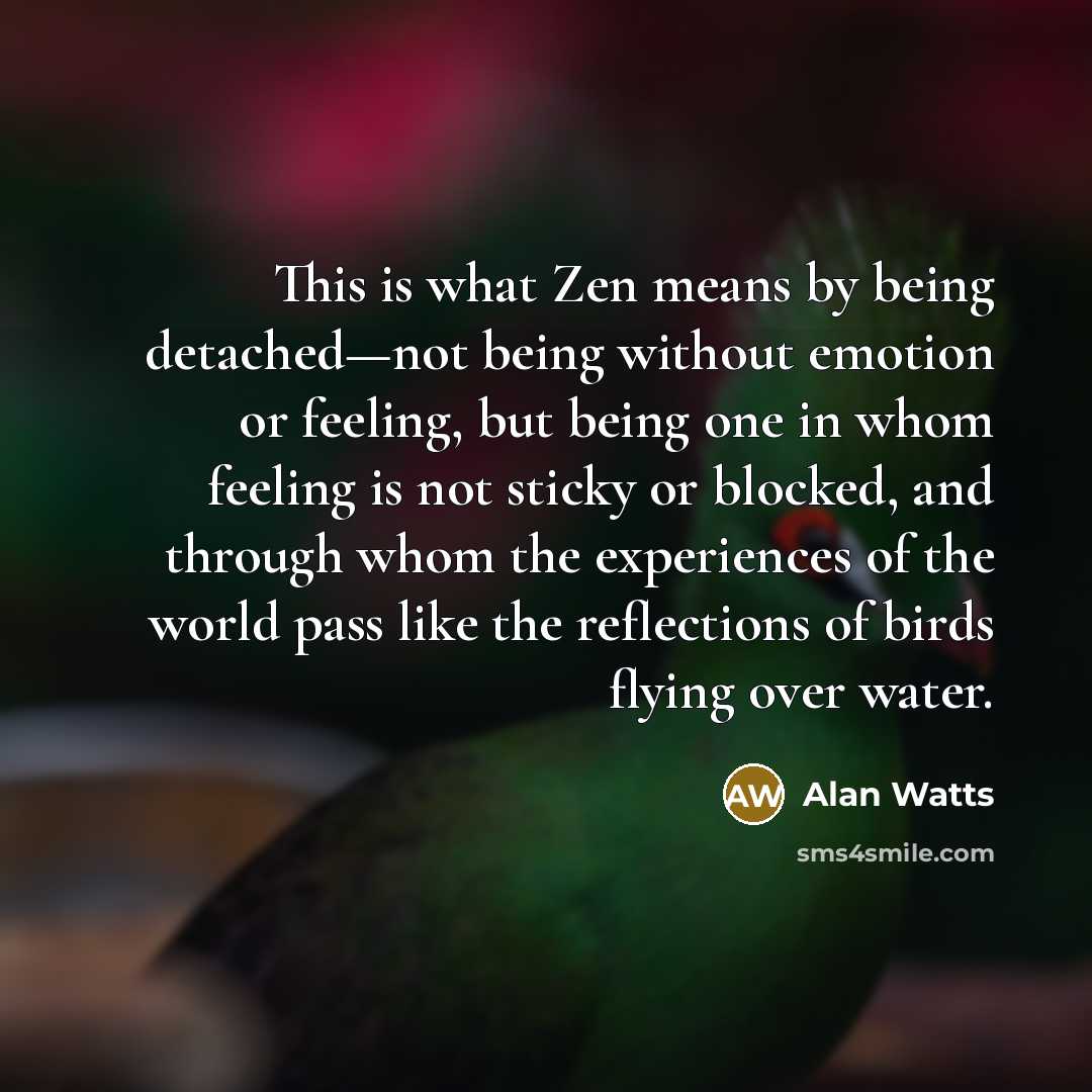 “This is what Zen means by being detached—not being without…” quote by Alan Watts