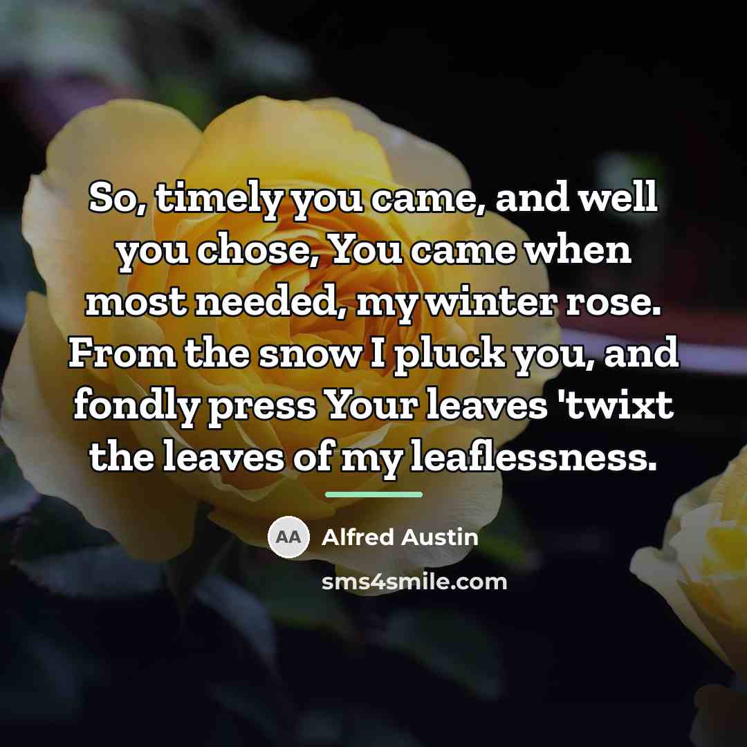 “So, timely you came, and well you chose, You came…” quote by Alfred Austin