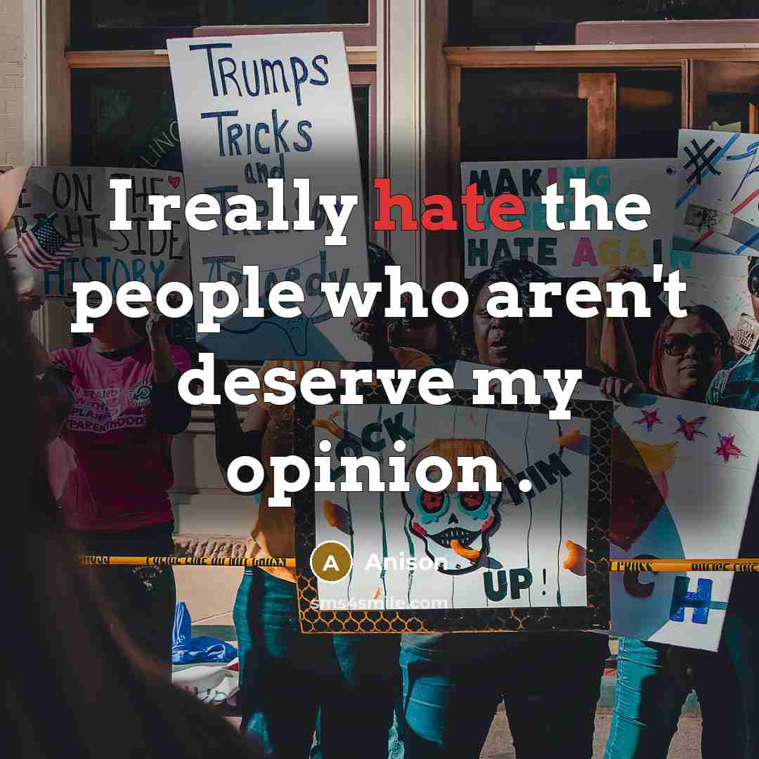 “I really hate the people who aren't deserve my opinion…” quote by Anison