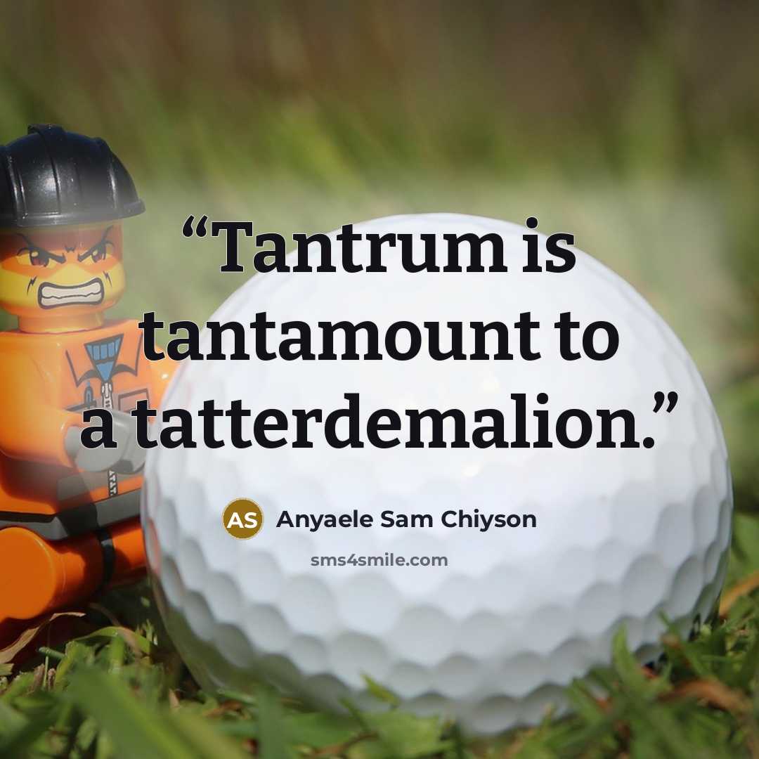 “Tantrum is tantamount to a tatterdemalion.” quote by Anyaele Sam Chiyson