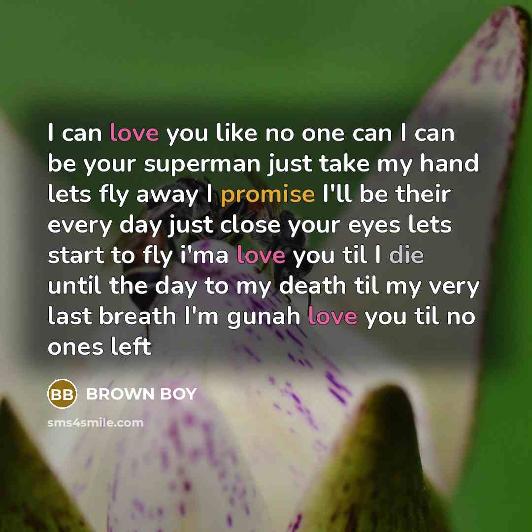 “I can love you like no one can I can…” quote by BROWN BOY