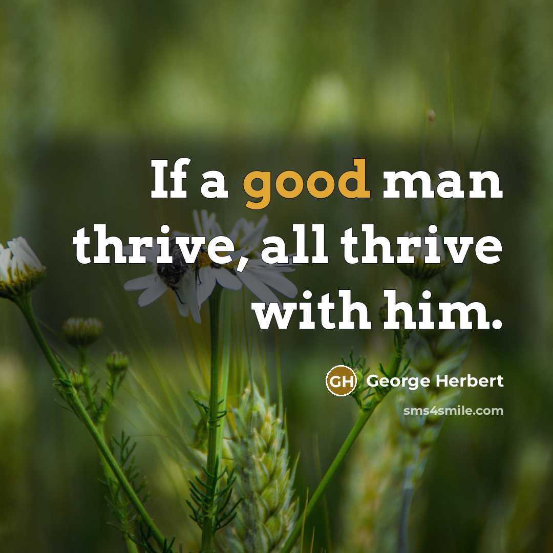 “If a good man thrive, all thrive with him.…” quote by George Herbert