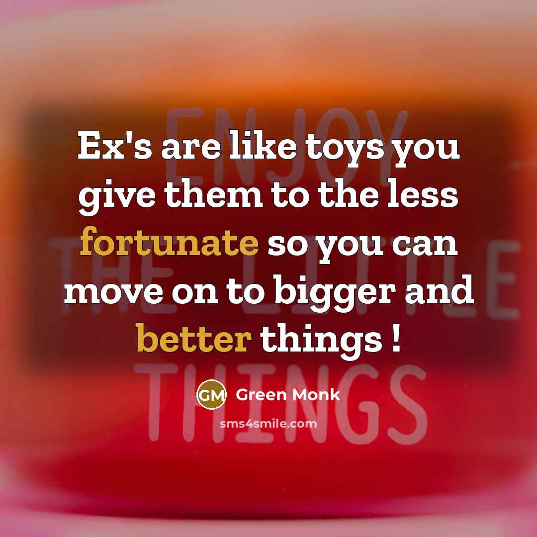 “Ex's are like toys you give them to the less…” quote by Green Monk