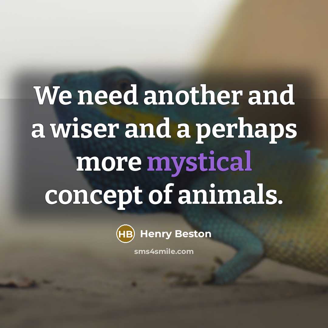 “We need another and a wiser and a perhaps more…” quote by Henry Beston
