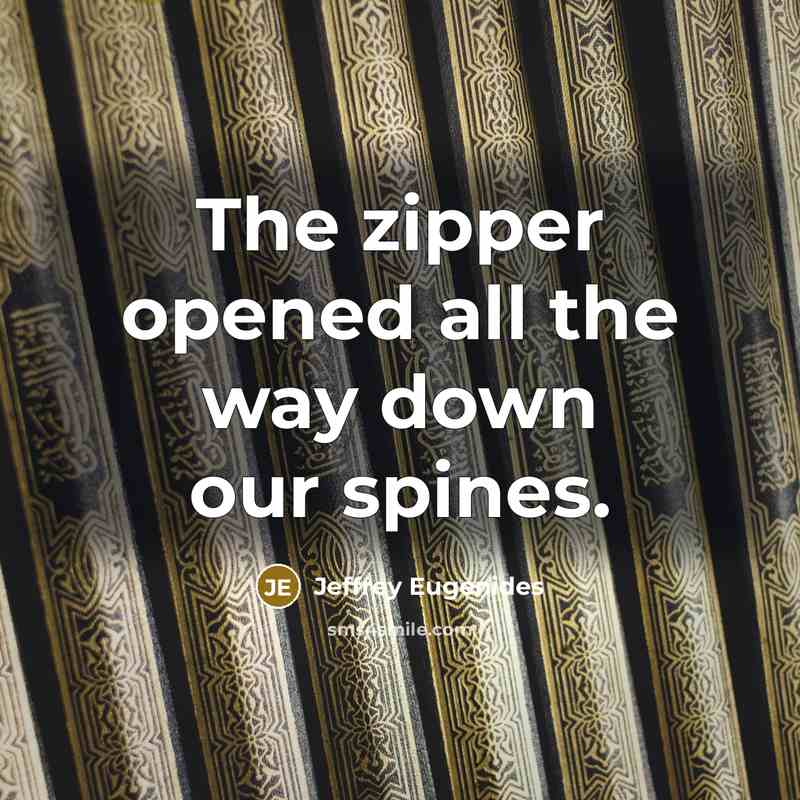 “The zipper opened all the way down our spines.…” quote by Jeffrey Eugenides
