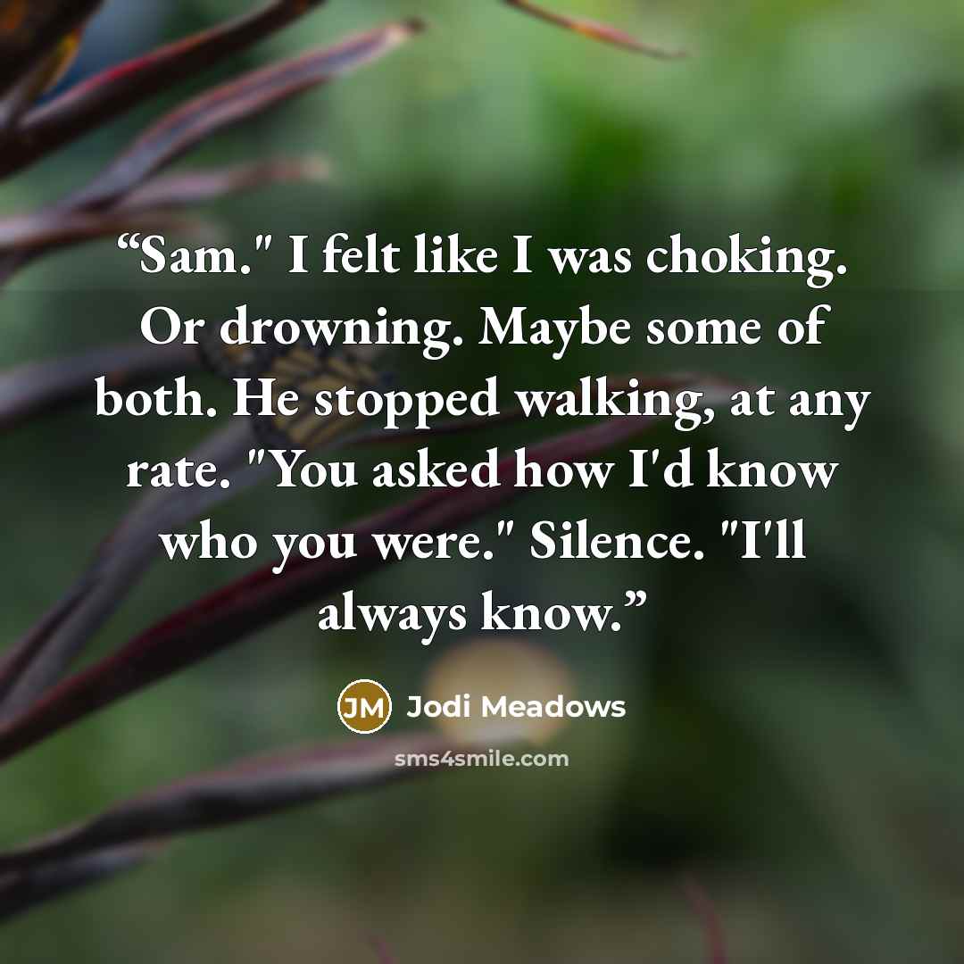 “Sam." I felt like I was choking. Or drowning. Maybe some of both. He stopped walking, at any rate. "You asked how I'd know who you were." Silence. "I'll always know.” quote by Jodi Meadows