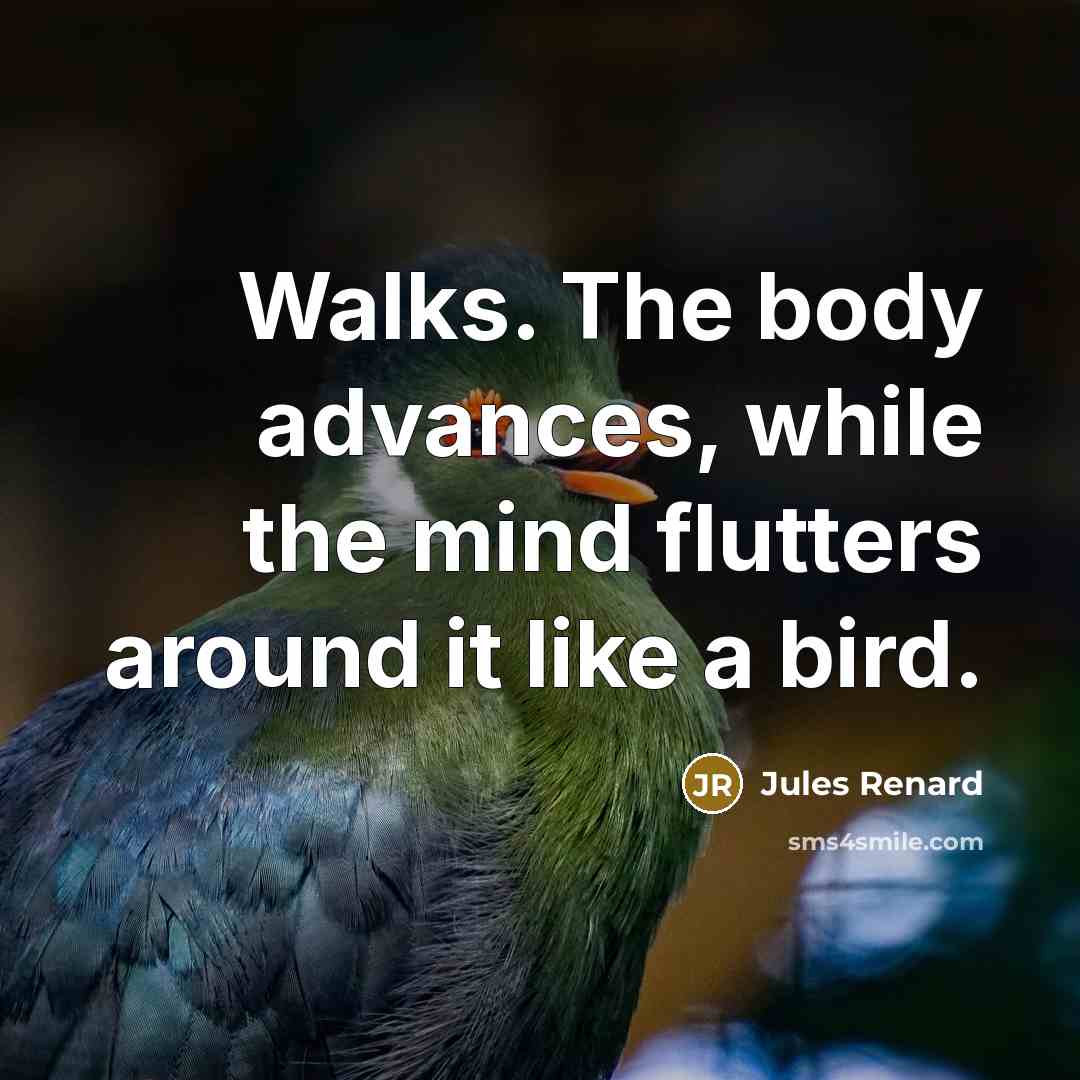 “Walks. The body advances, while the mind flutters around it…” quote by Jules Renard