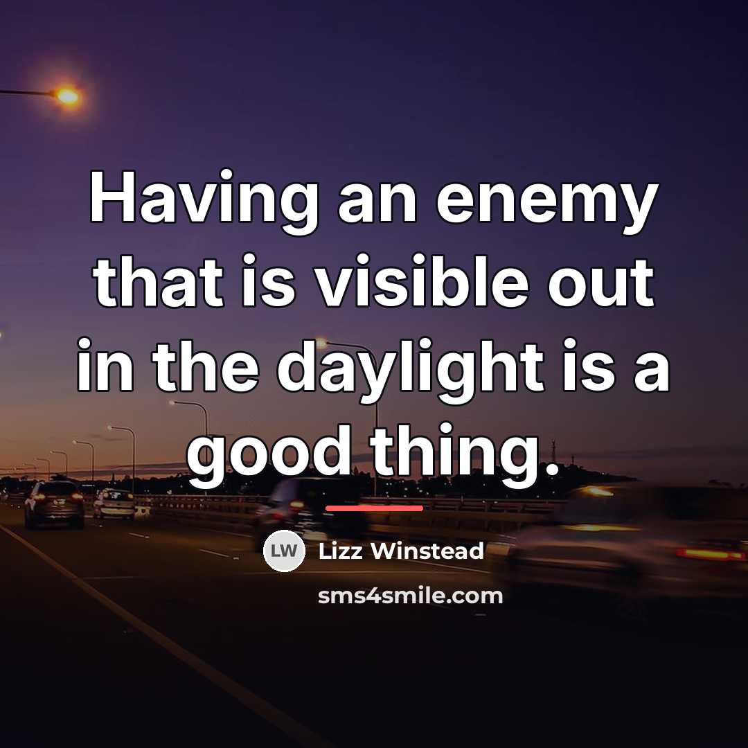 “Having an enemy that is visible out in the daylight…” quote by Lizz Winstead