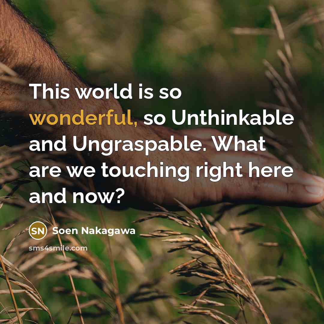 “This world is so wonderful, so Unthinkable and Ungraspable. What…” quote by Soen Nakagawa