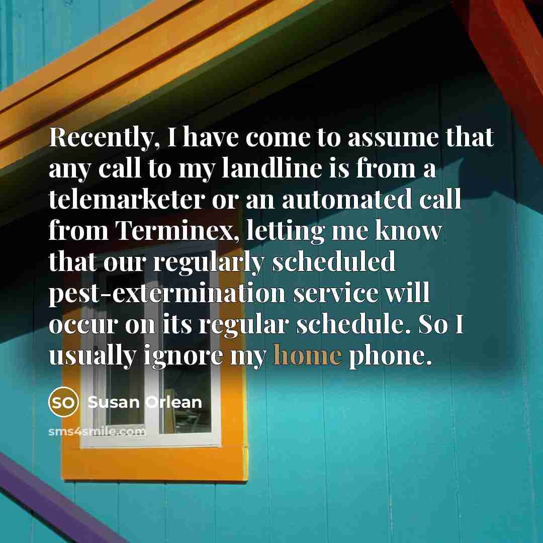 “Recently, I have come to assume that any call to…” quote by Susan Orlean