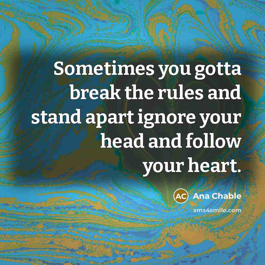 “Sometimes you gotta break the rules and stand apart ignore…” quote by Ana Chable
