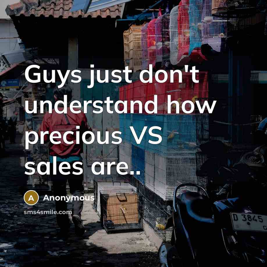 “Guys just don't understand how precious VS sales are..…” quote by Anonymous