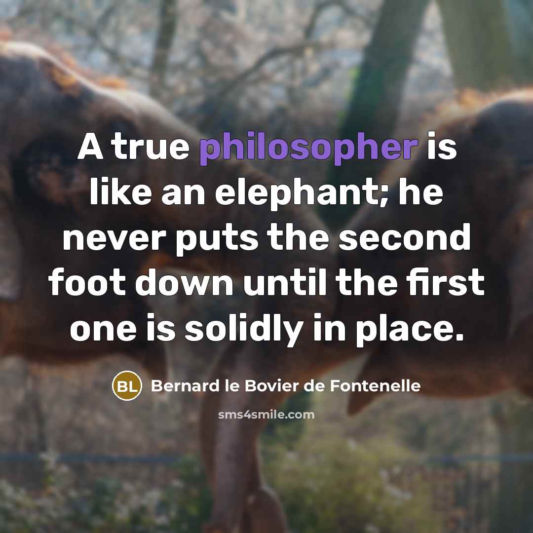 “A true philosopher is like an elephant; he never puts…” quote by Bernard le Bovier de Fontenelle