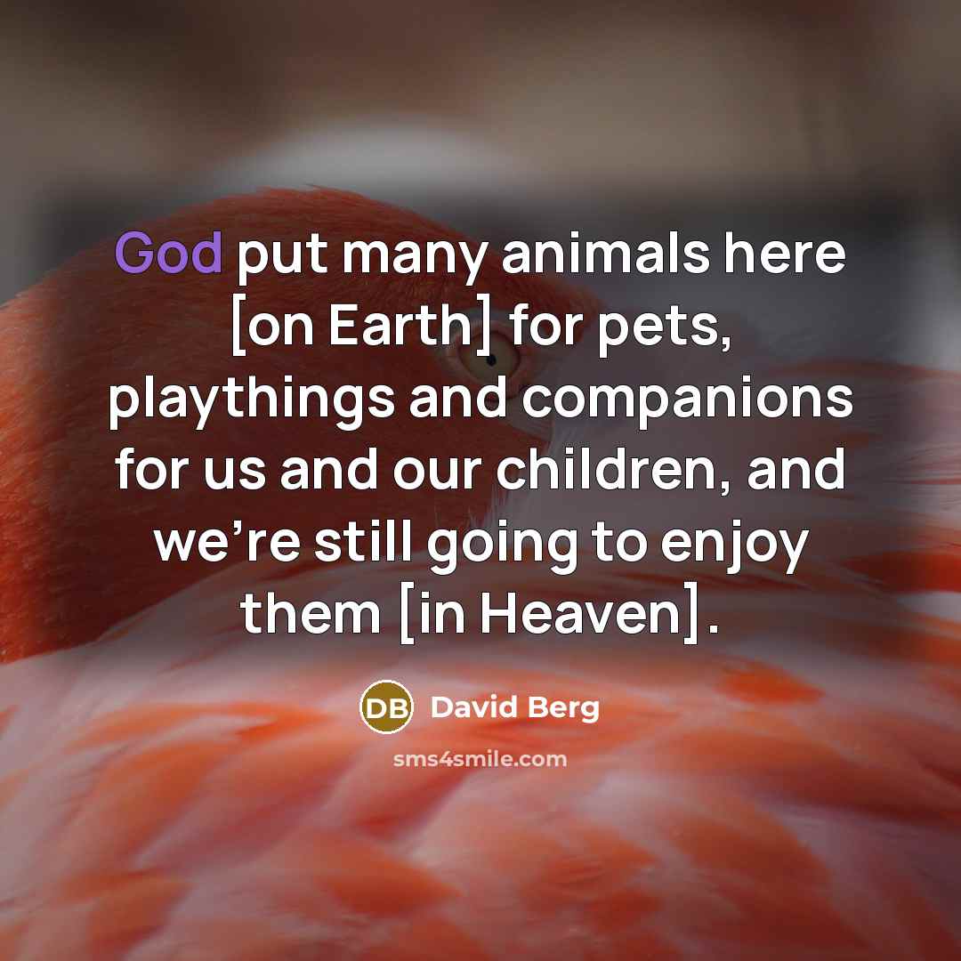 “God put many animals here [on Earth] for pets, playthings…” quote by David Berg