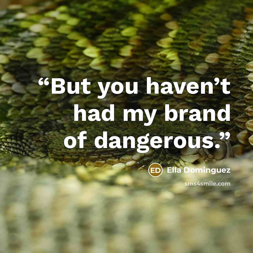 “But you haven’t had my brand of dangerous.” quote by Ella Dominguez