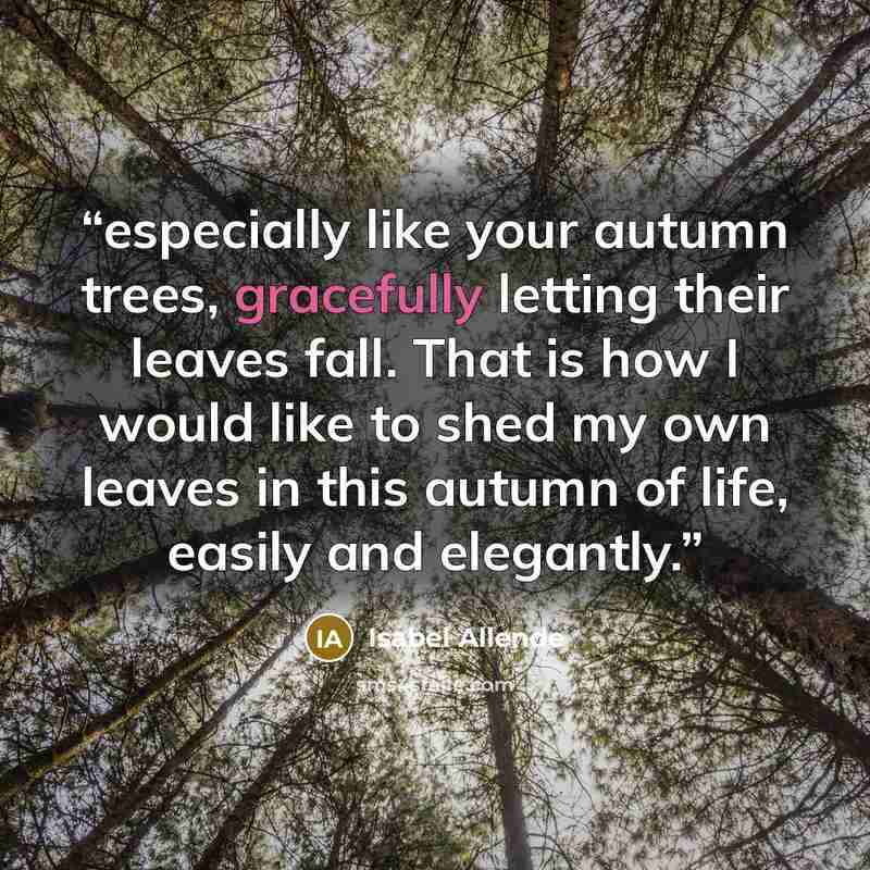 “especially like your autumn trees, gracefully letting their leaves fall. That is how I would like to shed my own leaves in this autumn of life, easily and elegantly.” quote by Isabel Allende