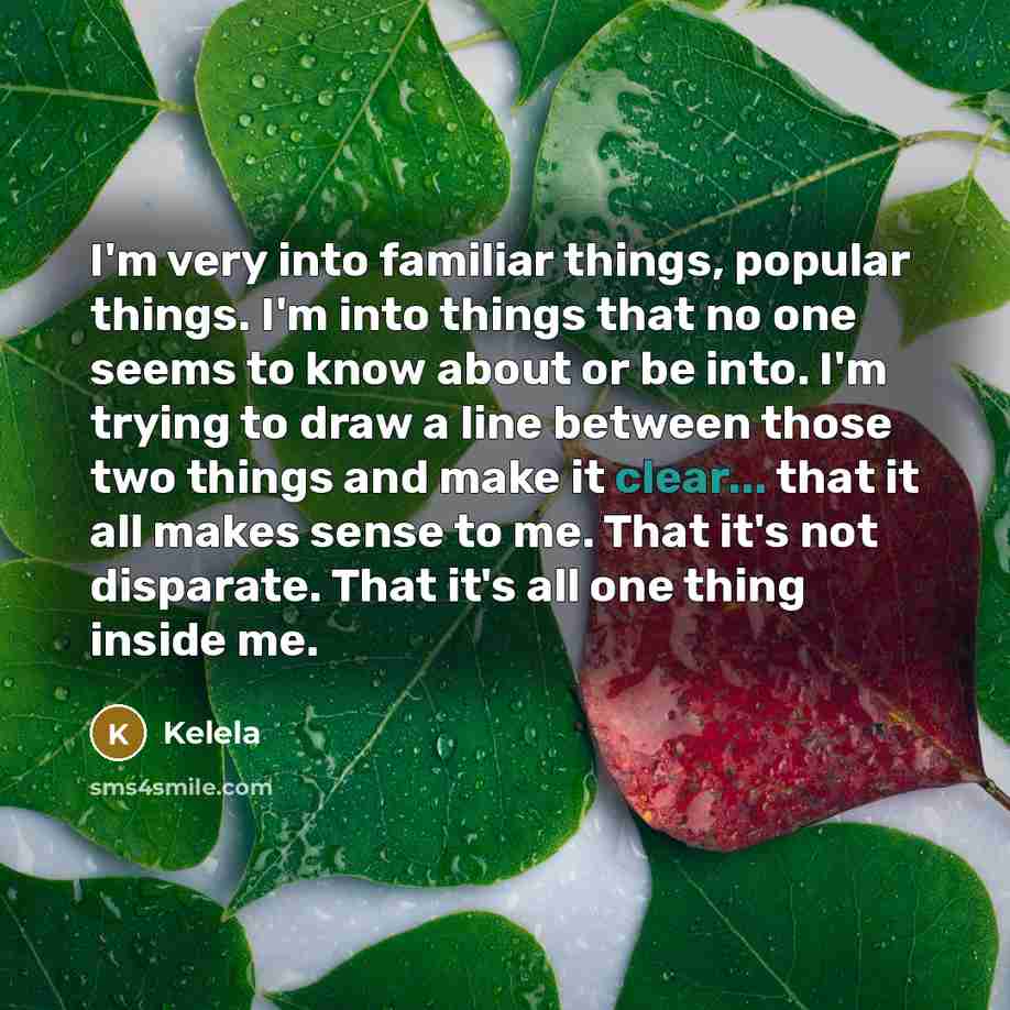 “I'm very into familiar things, popular things. I'm into things…” quote by Kelela