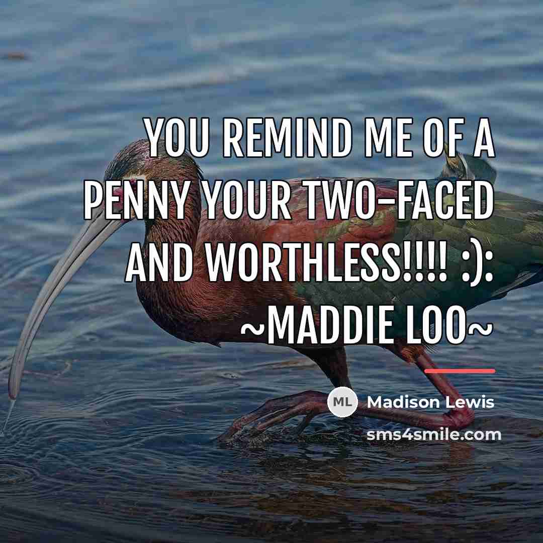 “You Remind Me Of A Penny Your Two-Faced And Worthless!!!!…” quote by Madison Lewis