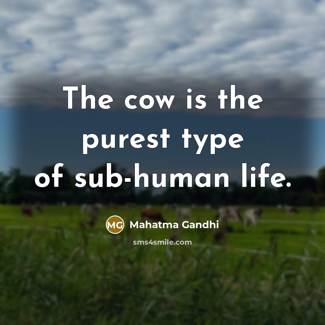 “The cow is the purest type of sub-human life.…” quote by Mahatma Gandhi