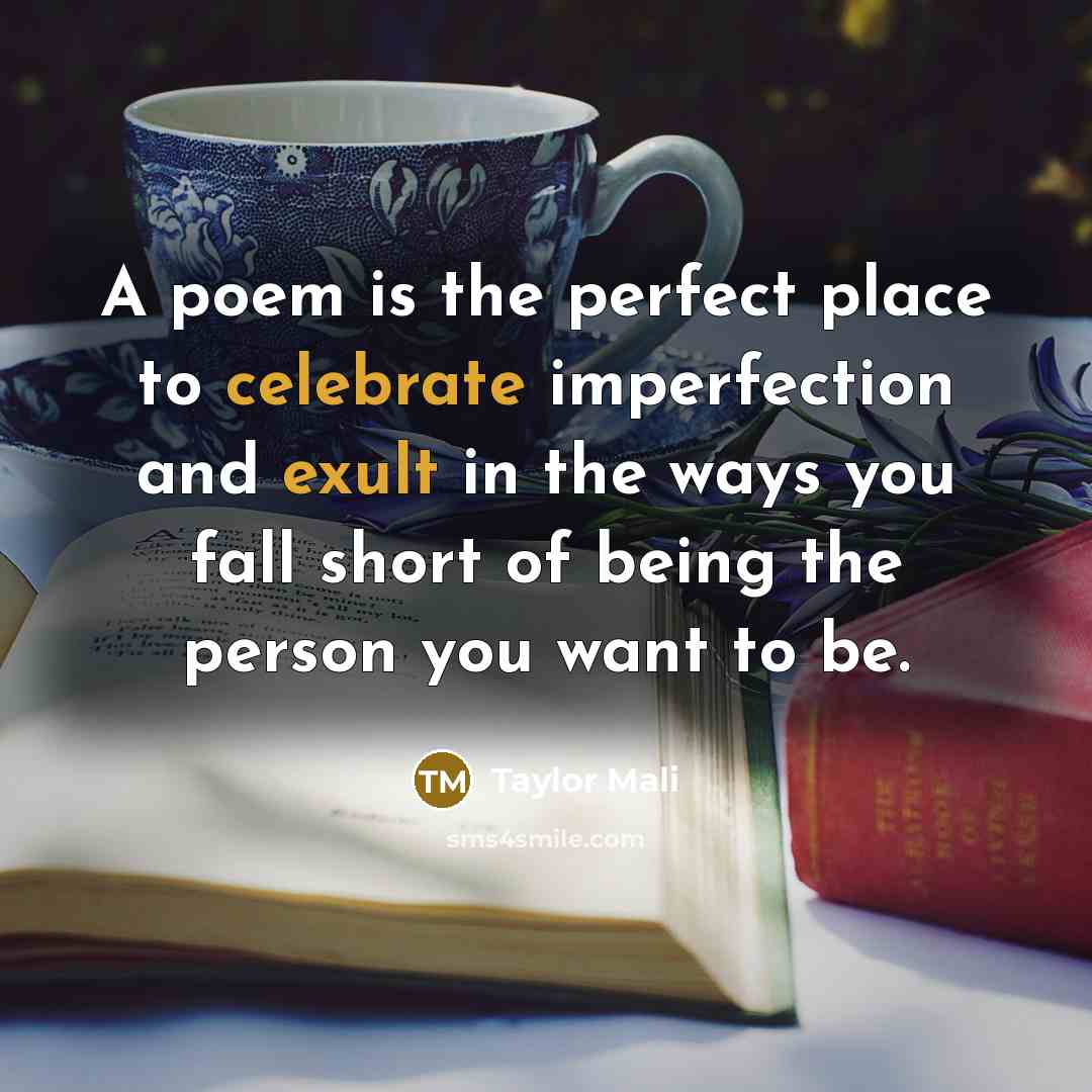“A poem is the perfect place to celebrate imperfection and…” quote by Taylor Mali
