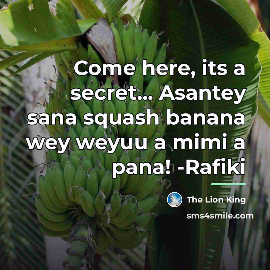 “Come here, its a secret... Asantey sana squash banana wey…” quote by The Lion King