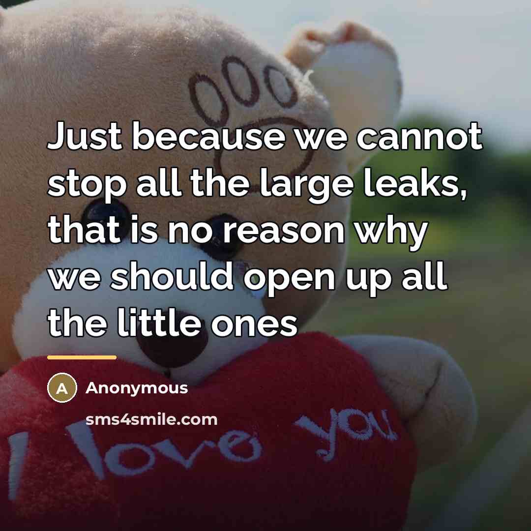 “Just because we cannot stop all the large leaks, that…” quote by Anonymous