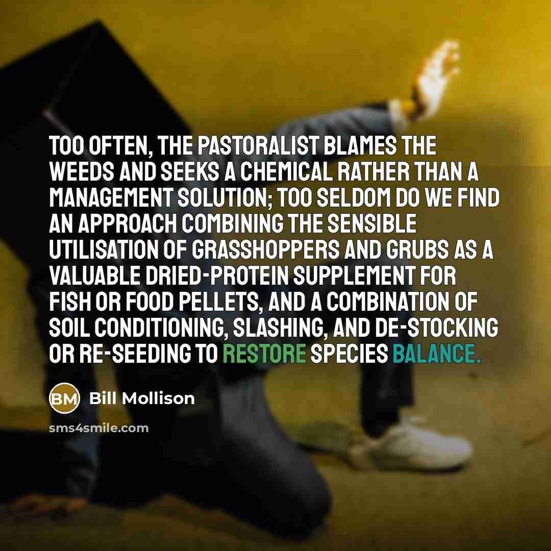 “Too often, the pastoralist blames the weeds and seeks a…” quote by Bill Mollison