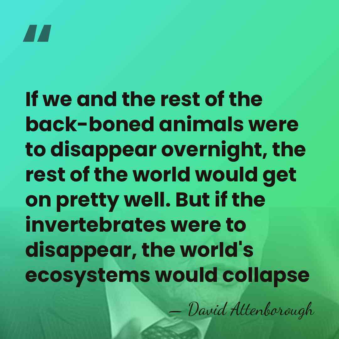 If we and the rest of the back-boned animals were to disappear&hellip; - David Attenborough